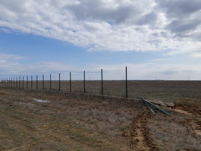 Здесь снова будет скот пастись