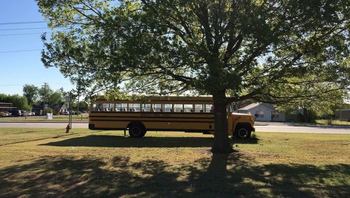 В США закрыли более 20 школ из-за угроз вооружённой женщины