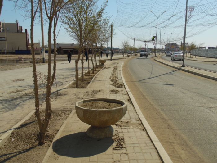 Голый в степи