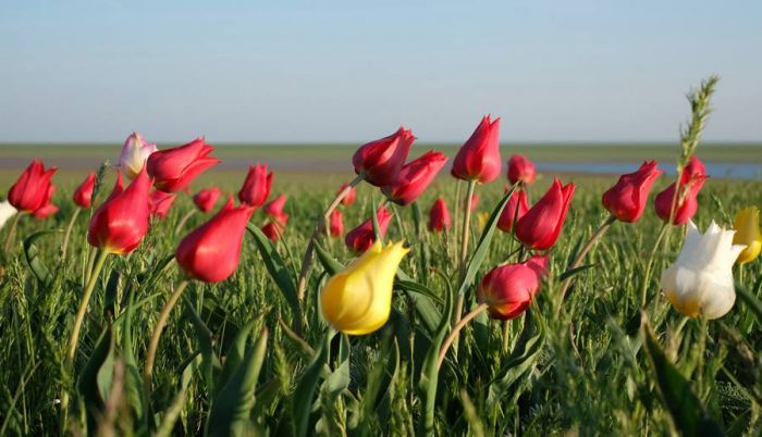 Двухдневная рабочая неделя ожидает казахстанцев 