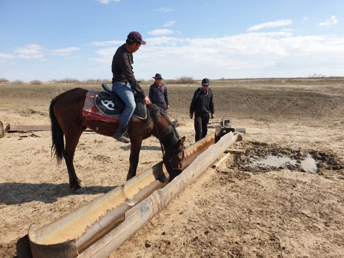 Скотоводы потянулись за травой