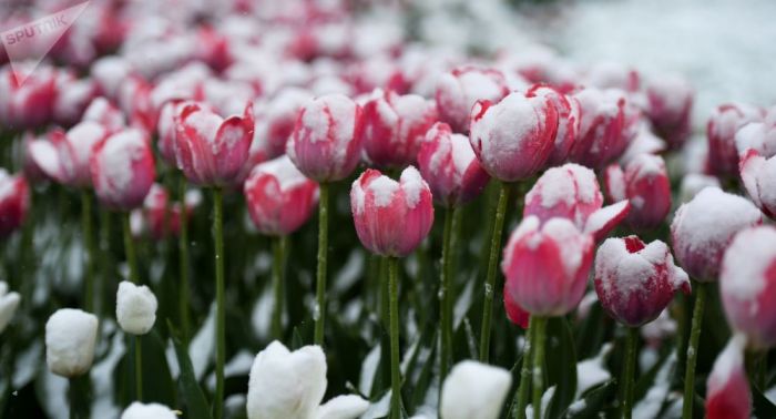 Минусовая температура ожидается в семи областях Казахстана 