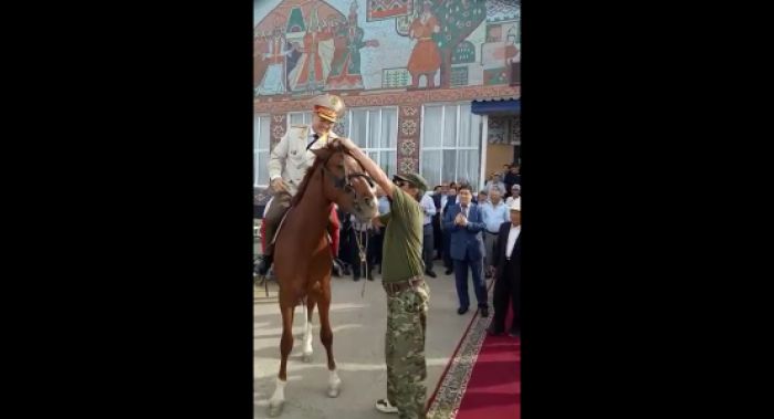 МВД проверяет видео с начальником ДП Атырауской области на коне 