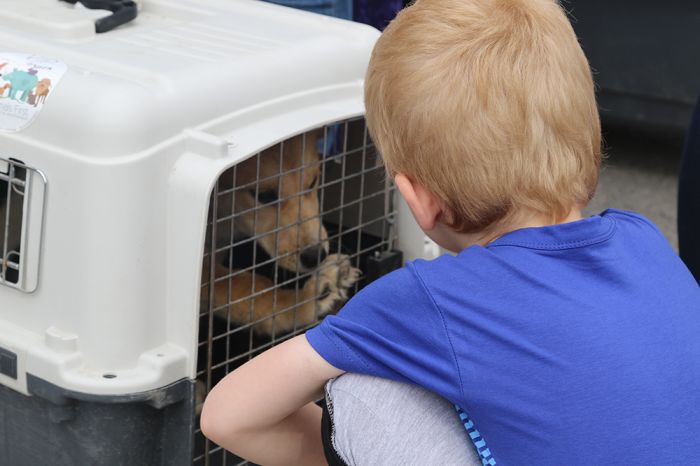 «Я из приюта! Давай дружить?»