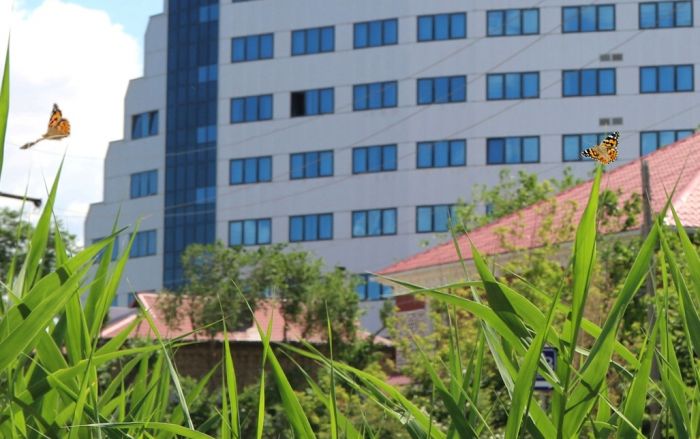 Бабочка неопасная и очень красивая