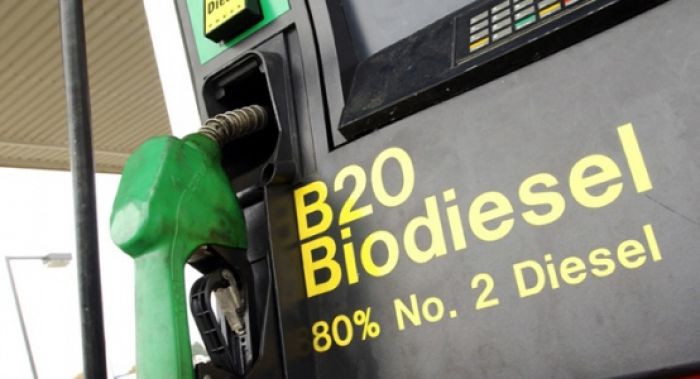 Китай будет использовать в автомобилях биодизель из пальмового масла