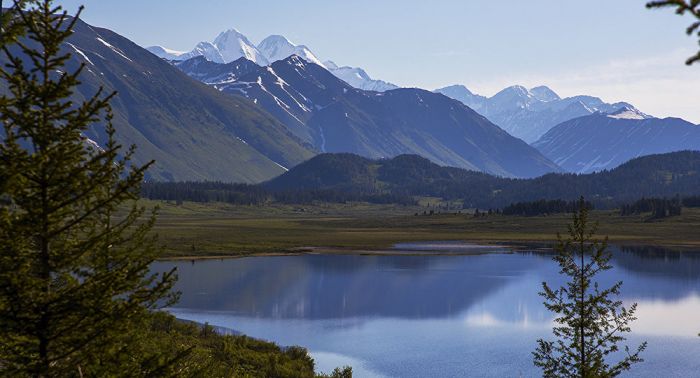 Продают ли земли Восточного Казахстана иностранцам – ответ акима  