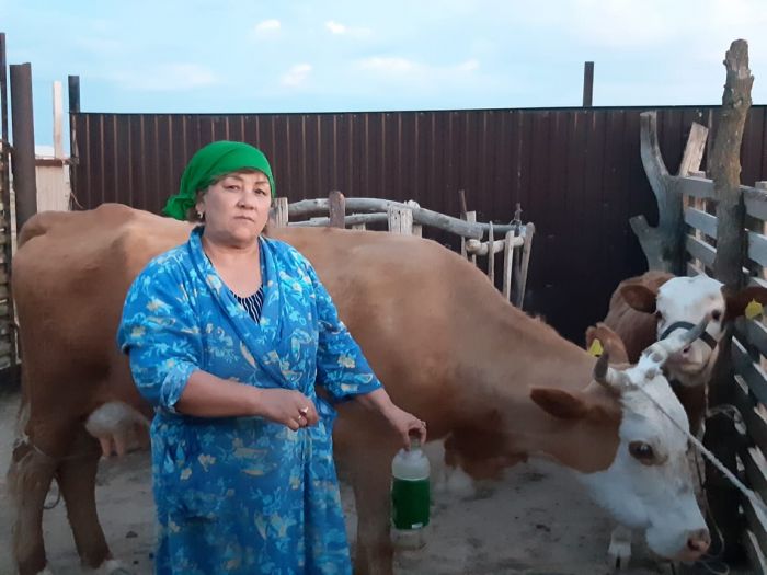 Враг стал неуязвимым