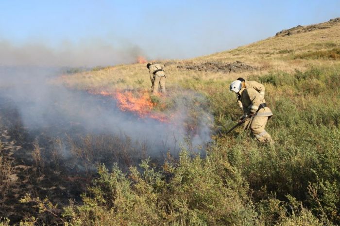 Степные пожары возникли в трёх районах Карагандинской области