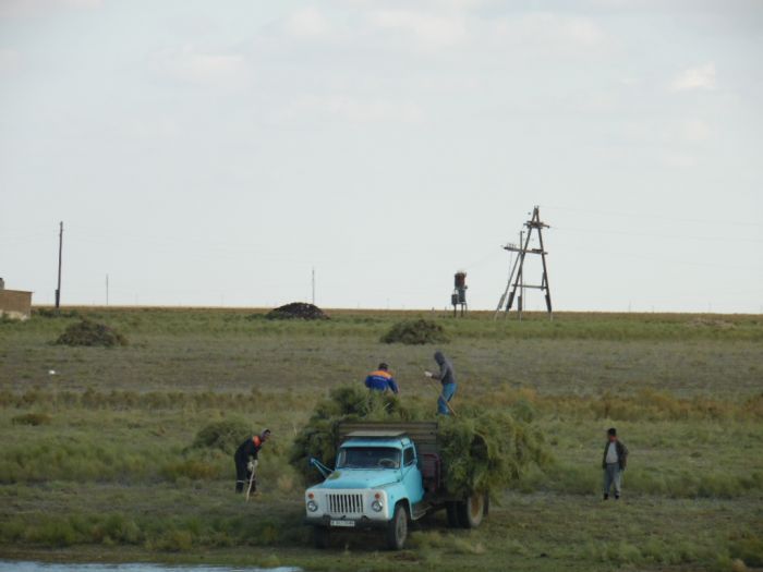 Сено на зиму: бедные и богатые  