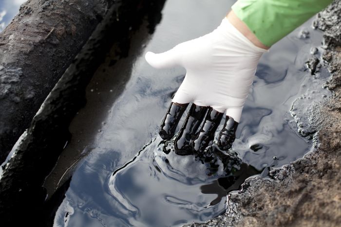 В Туркестанской области геологи обнаружили нефтяную плёнку 