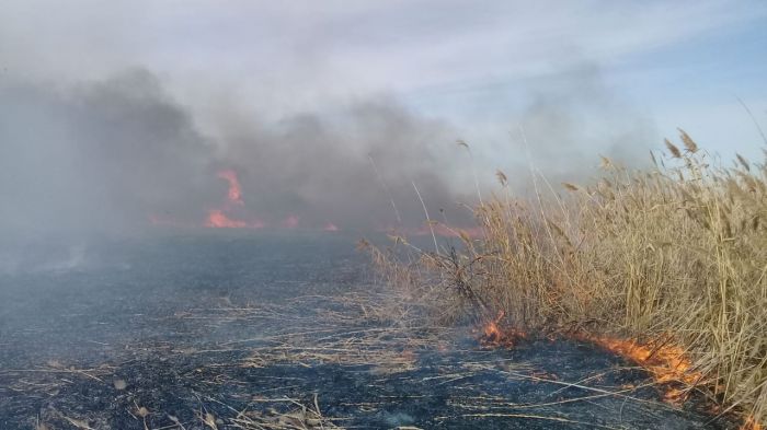 Пожар в резервате «Акжайык»