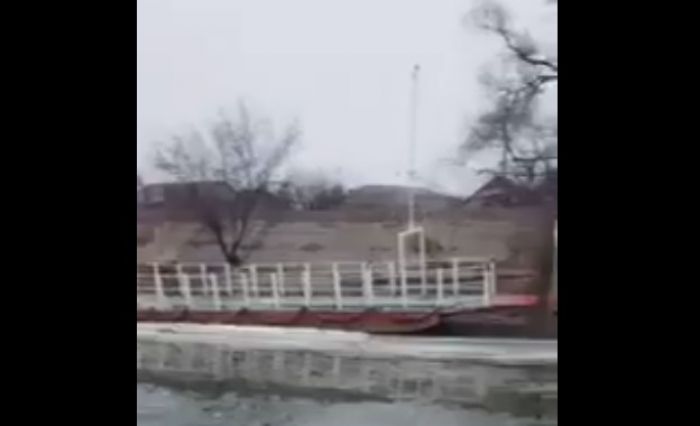 В Атырау собрали из-подо льда 17 мёртвых рыбин