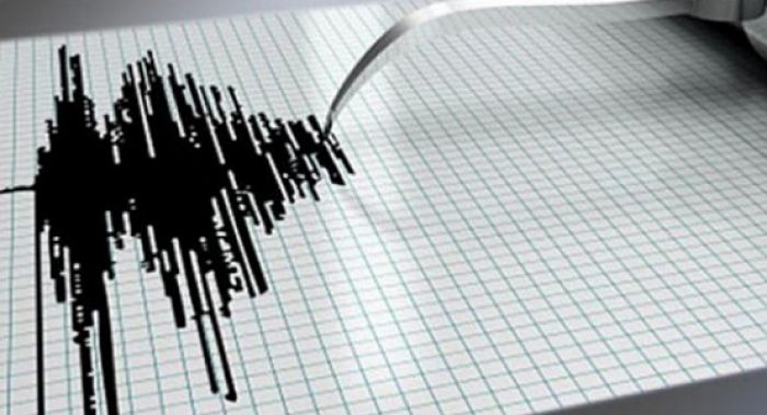 Подземные толчки ощутили жители Шымкента и Тараза 