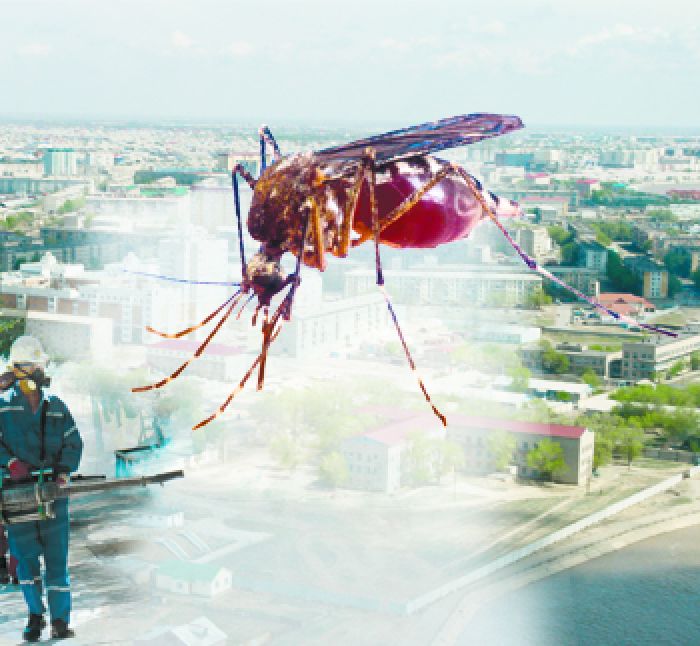 Комары «Дезинфекции» не боятся
