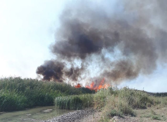 Зачем скрывают истинные масштабы пожара на побережье Каспия? 