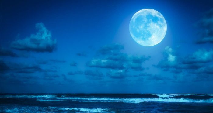 Япония потратит $770 млн на участие в проекте по освоению Луны