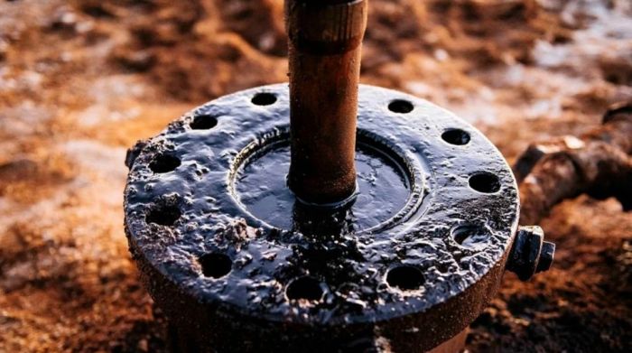 10 нефтегазовых участков недр в Казахстане реализуют через онлайн-аукцион 