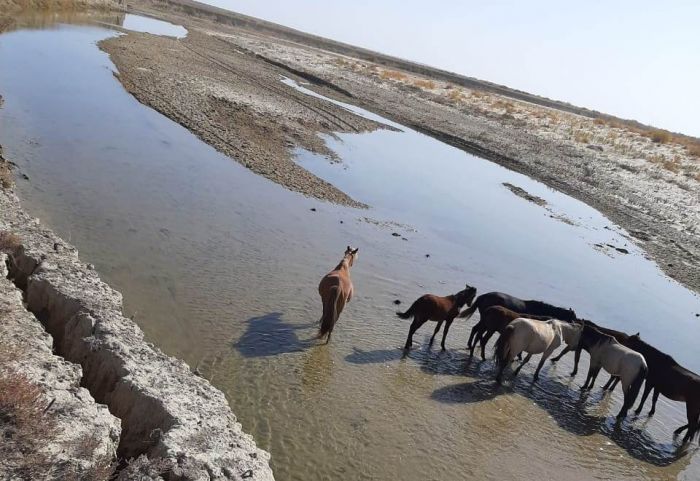 Пересохший Жем наполняется водой