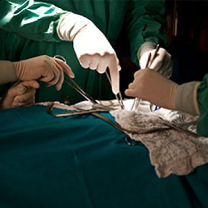 В Казахстане впервые проведут операцию по пересадке сердца
