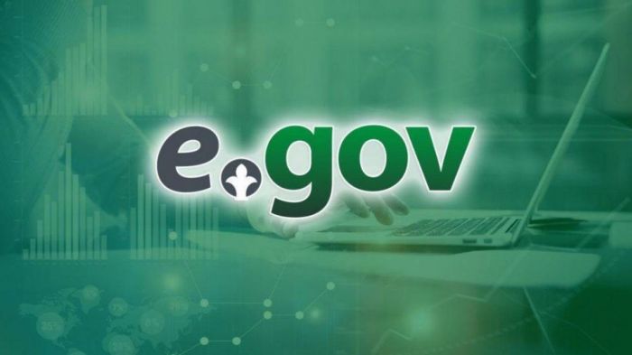 Казахстанцам недоступен портал Egov 