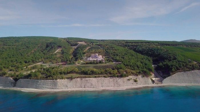 "Потом зашел на аквадискотеку": активист о том, как попал во "дворец для Путина" 