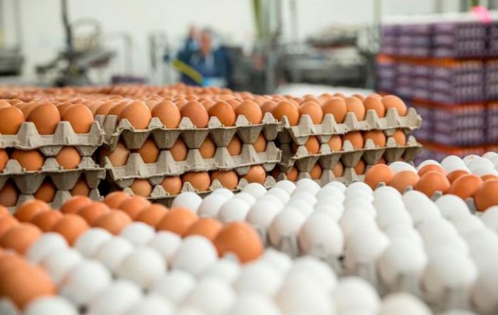 Производство яиц сократилось более чем на 8% - исследование