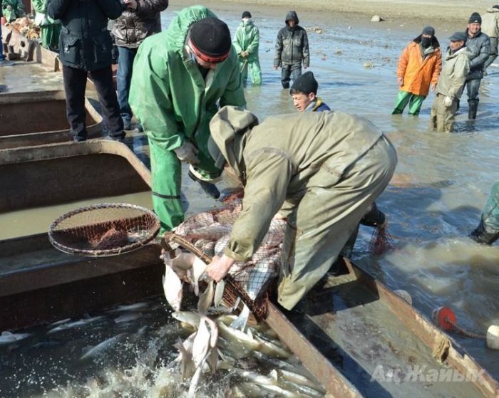 Токаев подписал закон о расширении рыболовной зоны на Каспии 