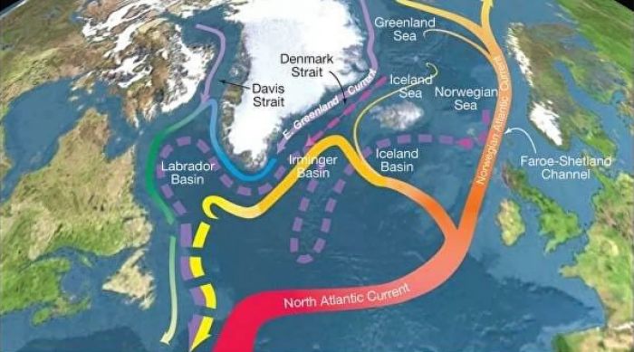 Система Гольфстрима критически ослабеет к концу века, предупреждают климатологи 