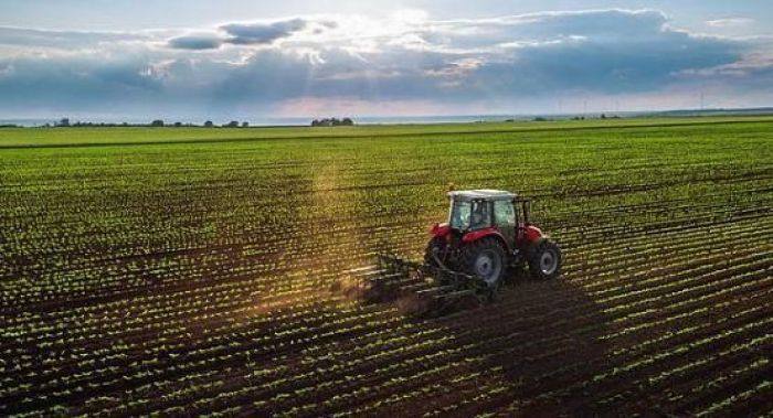 Сенатор: Сельхозземли должны находиться в госсобственности ради нацбезопасности Казахстана 