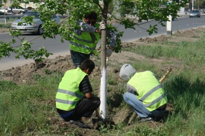 Тенгизшевройлу дали Авангард, Аджипу – Алмагуль