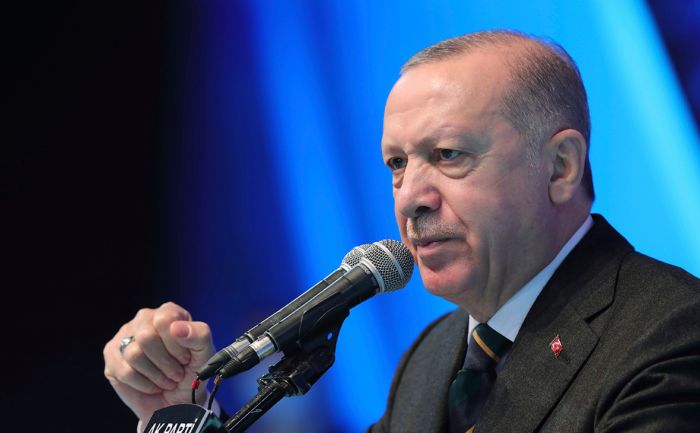 Эрдоган поспорил с сотней отставных адмиралов о риске войны 