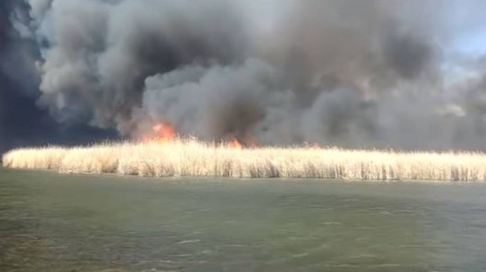Пожар в Алматинской области уничтожил коттеджи и лодки 