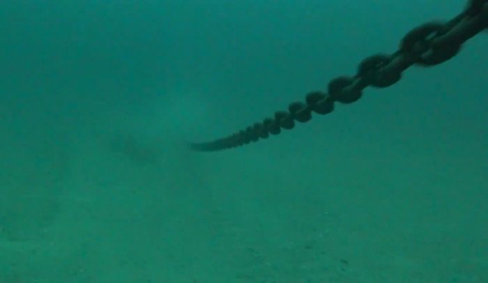 Видео опасного погружения на глубину 40 метров в Каспийском море сняли дайверы