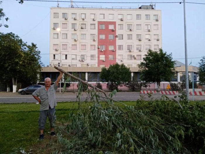 «Не спилили, а обрезали. Для деревьев это хорошо» 