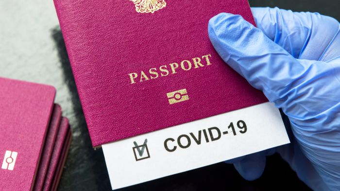 ЕС вводит единый ковидный паспорт