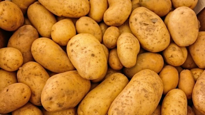 Цены на картофель взлетели до 500 тенге за килограмм в регионах Казахстана 