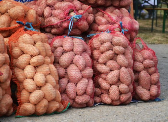 Виновных в дефиците картофеля назвал министр Султанов