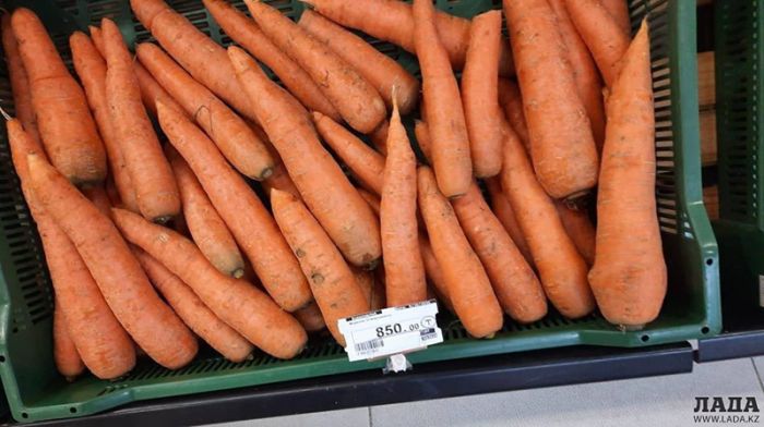 В Актау морковь поднялась в цене до 800 тенге за килограмм