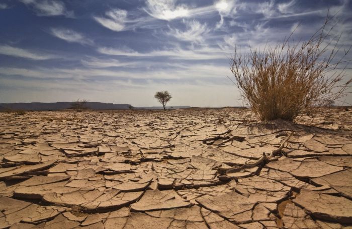 Экстремальная засуха прогнозируется в Казахстане 