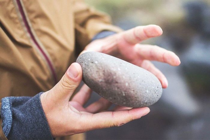 До смерти забил булыжником: полиция задержала подозреваемого в убийстве