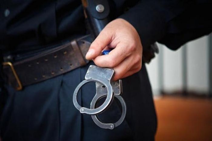 Задержан гендиректор резервата «Семей орманы» и его заместители