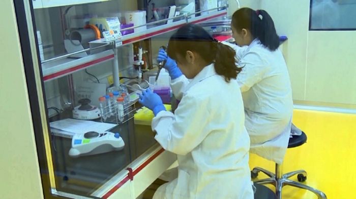 Найден скрытый резервуар для COVID-19 в человеческом организме