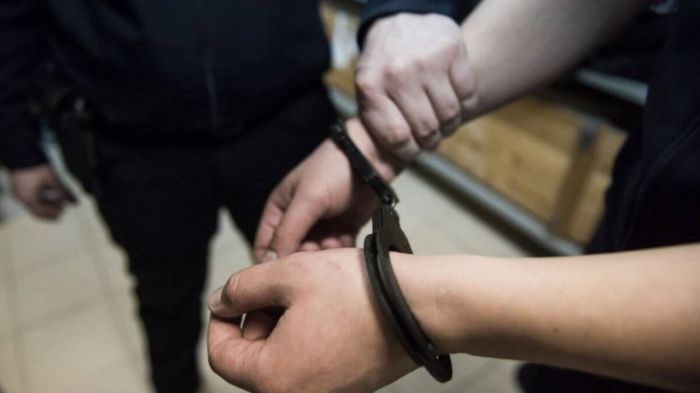 В Сети появилось видео "задержания Дикого Армана" - комментарий ДП 