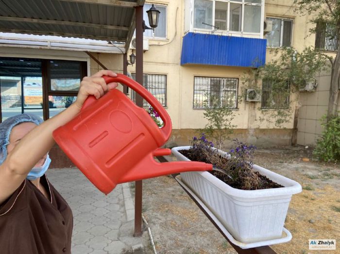 На западе Казахстана снова жара - Казгидромет 