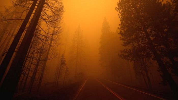 Планета опасно нагревается, виноват - человек. Ученые вынесли приговор 