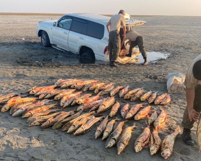 «Профессионального» браконьера поймали с 5 центнерами красной рыбы 