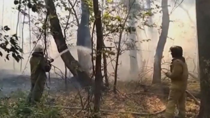 Лесные пожары в Самарской области