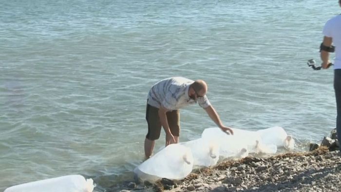 7 тысяч мальков выпустили в кратер старого угольного карьера