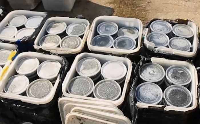 В Якутии у браконьеров конфисковали осетра и черную икру на 117 млн руб. 